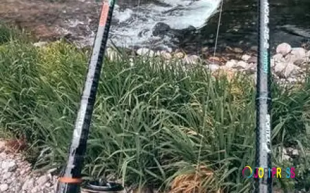 Negozio di canne da pesca online | Prezzi imbattibili