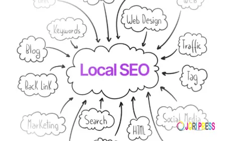 Local SEO Packages: The Smart Way to Grow Your Local Business