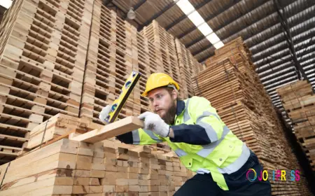 C&C Pallet Services Recognised Among the Top Pallet Manufacturers Dublin Businesses Trust