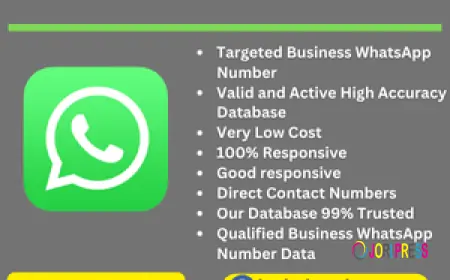 WhatsApp Number List Marketing Solutions
