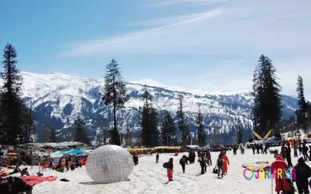 Manali Honeymoon Package from Delhi – A Romantic Escape to the Himalayas