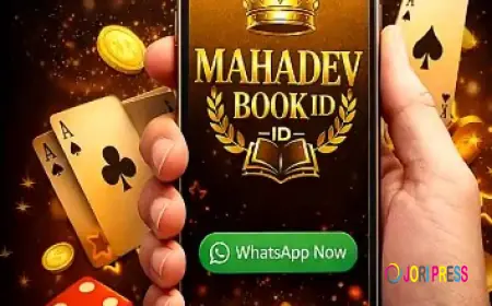 Mahadev Book ID | Cricket Betting ID | IPL Betting ID India