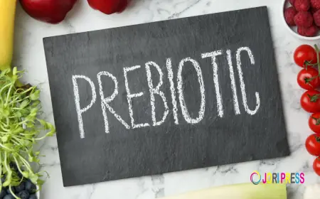 Prebiotics vs Probiotics: Understanding the Key Differences for Better Gut Health