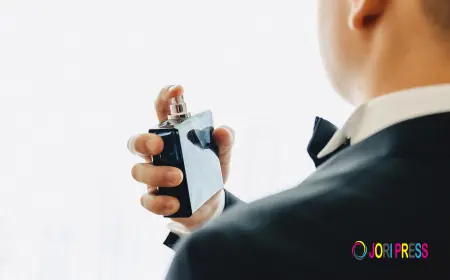 Best Everyday Long Lasting Perfumes for Men
