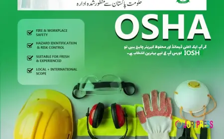 OSHA Guidelines for Fire and Electrical Safety – A Complete Guide