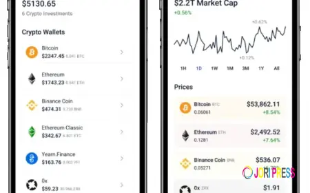 How Crypto Wallet  Development Creates Long-Term Business Value
