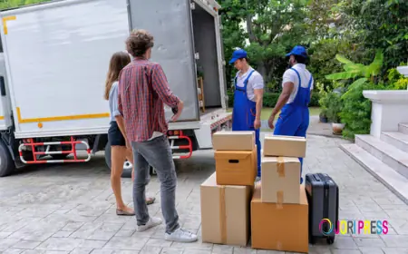 Why More Families Are Choosing Shine Movers for Interstate Relocation Services