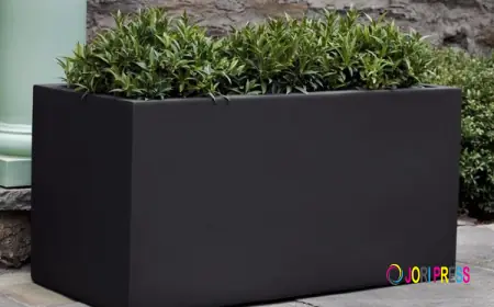 Why Are FRP Planter Designs Popular in Modern Spaces?
