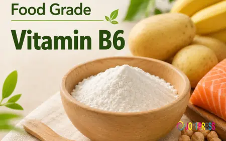 Investment Opportunities in the Food Grade Vitamin B6 Market: 2026-2034