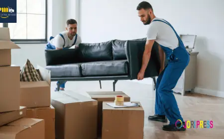 Movers and Packers in Dubai Marina | Prime Zone Movers