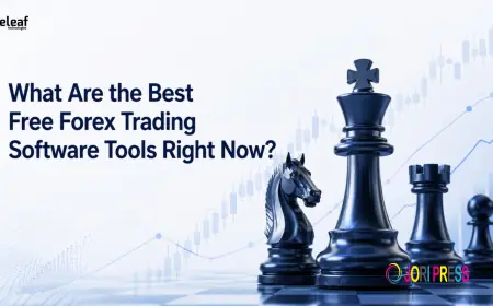 What Are the Best Free Forex Trading Software Tools Right Now?