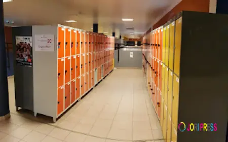 Solid Locker Cabinets Trusted Across Schools, Gyms, and Workplaces