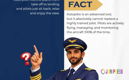 Skywize Aviation Named Best Aviation Institute in Panchkula