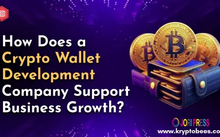 Why Is Security a Top Priority for a Crypto Wallet Development Company?