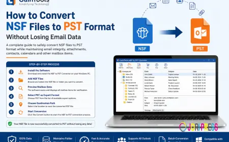How to Convert NSF Files to PST Format Without Losing Email Data
