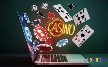 Online Gaming Platforms Bring Modern Casino Experiences to Players