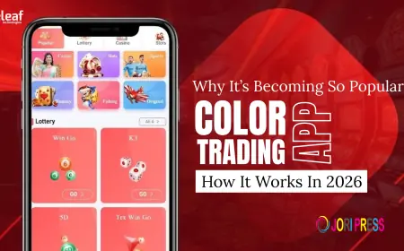 Color Trading App in 2026: How It Works and Why It’s Becoming So Popular