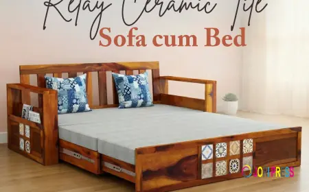 Comfortable Sofa Cum Bed for Modern Homes and Apartments