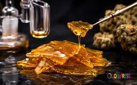 Why Cannabis Shatter Delivers Fast Effects