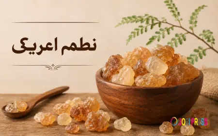 Functional Food Innovations Spark a Surge in Global Gum Arabic Demand Through 2034