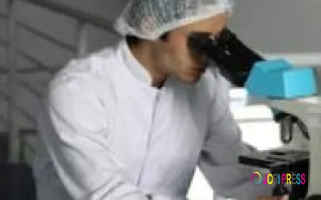 How Do Advanced Antibiotic Protection Systems Improve Cell Culture Reliability?