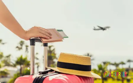Visitor Travel Insurance in Edmonton - Trusted Coverage for Your Family's Peace of Mind