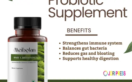 Meibotan Best Supplements for Gut Health – Supporting Digestive Wellness Naturally