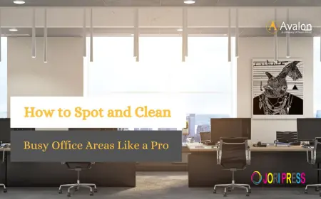 How to Spot and Clean Busy Office Areas Like a Pro