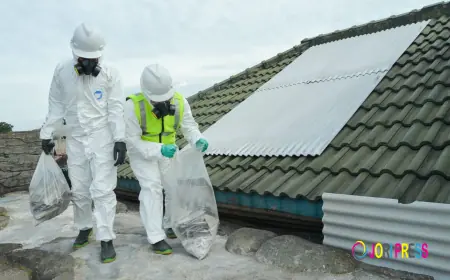 Understanding Asbestos Inspection and Testing Procedures, Risks, and Regulations