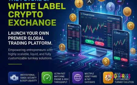 The Future of Secure Digital Payments With Crypto Wallet Development