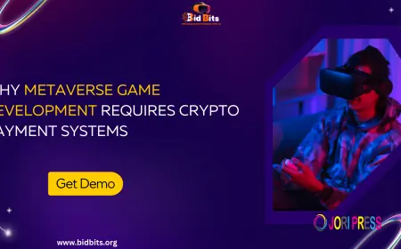 Why Metaverse Game Development Requires Crypto Payment Systems