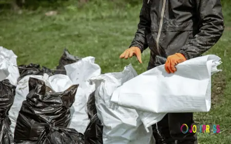 A1 Junk & Rubbish Removal Expands Junk Removal Services in Dublin