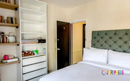 82A Dalston Lane Terrace, London, is Comfortable and Cultural