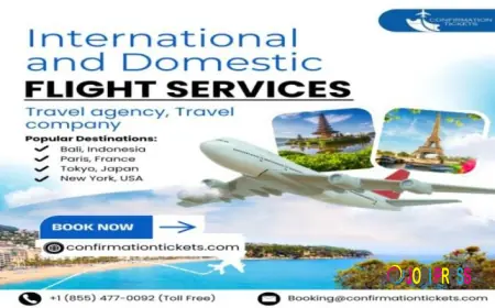 Affordable Tours and Travels Services in India