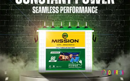 Why Choosing A Reliable Inverter Battery Is Important