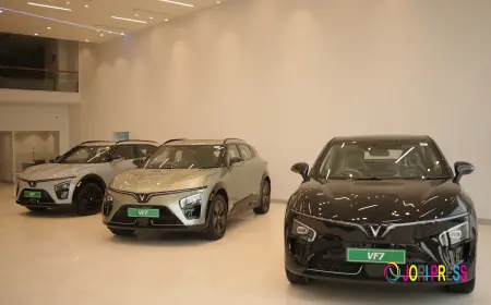 VinFast Ludhiana Presents Punjab's Most Complete Range of the Best Electric Vehicles — VF6, VF7, and VF MPV 7 Now Available for Test Drive