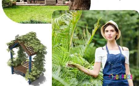 Professional Sprinkler System Repair & Irrigation Experts in East Meadow and Surrounding Areas