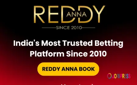 Reddy Anna Club and Modern Online Entertainment Trends