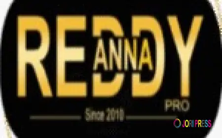 Reddy Anna Club’s Commitment to User Experience