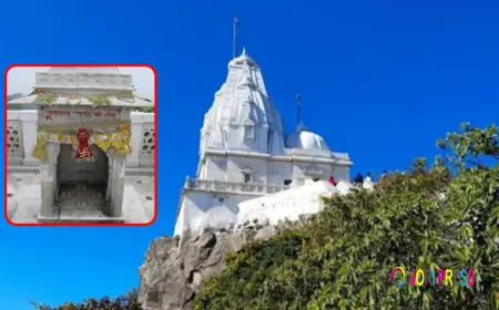 Sammed Shikharji Yatra 2026 : Everything You Need to Know
