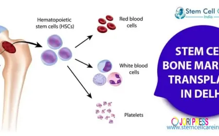 Advanced Stem Cell Therapy Solutions in India for Regenerative Healing