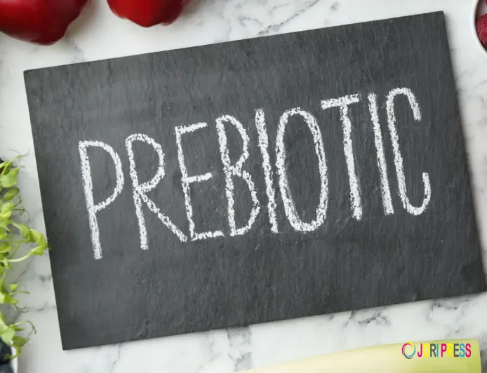 Prebiotics vs Probiotics: Understanding the Key Differences for Better Gut Health