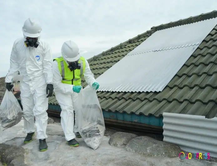 Understanding Asbestos Inspection and Testing Procedures, Risks, and Regulations