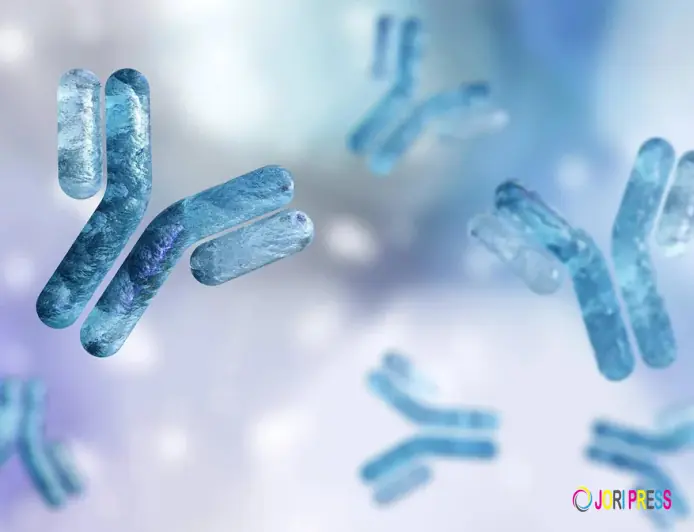 Immunogenicity Assay Role in Pharmacokinetics Assay Studies