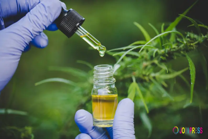 How North America Cannabis Use Reflects Changing Healthcare Approaches