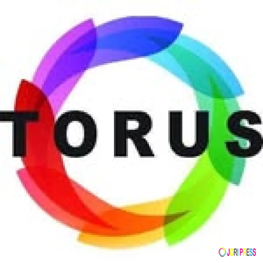 Torus Solo Horizontal Press Cold Pressure Juicer in Australia