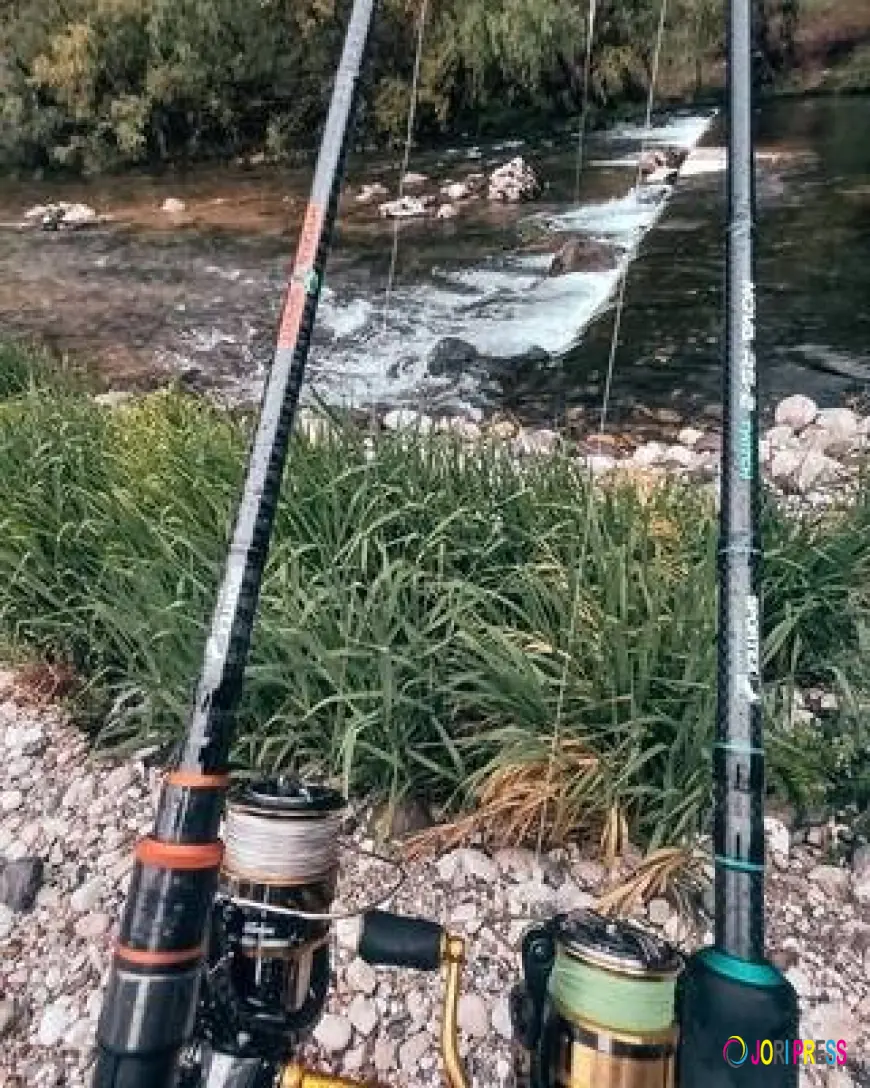 Negozio di canne da pesca online | Prezzi imbattibili