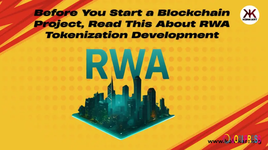 Before You Start a Blockchain Project, Read This About RWA Tokenization Development