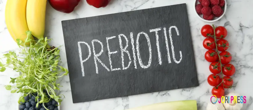 Prebiotics vs Probiotics: Understanding the Key Differences for Better Gut Health
