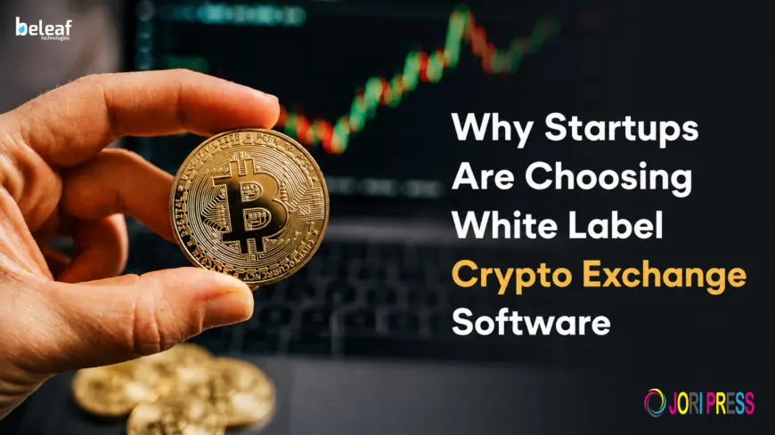 Why Startups Are Choosing White Label Crypto Exchange Software